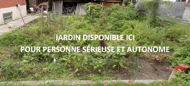 Potager disponible pour jardinier/ère avertis dans Bénévolat  à Ville de Montréal