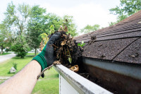 EAVESTROUGH / GUTTER CLEANING! STARTING FROM JUST $109! INSURED!