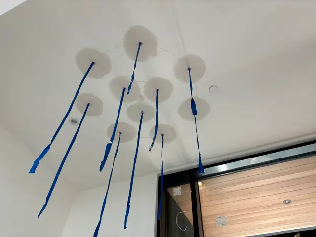Drywall installation and finishing service, Taping and steel fra62864742994947125