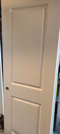 28x80 2 panel door drilled