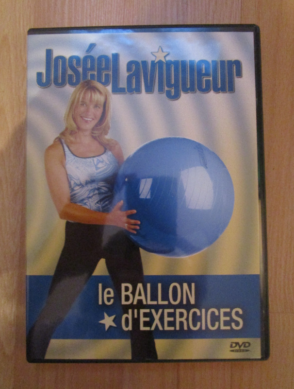 Ballons d'exercices dans Appareils d'exercice domestique  à Longueuil/Rive Sud - Image 3