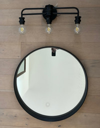 Vanity Mirror + Light