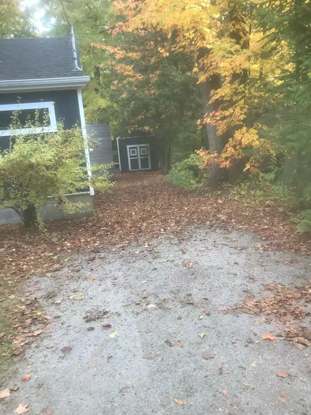 leaf removal starting at $75