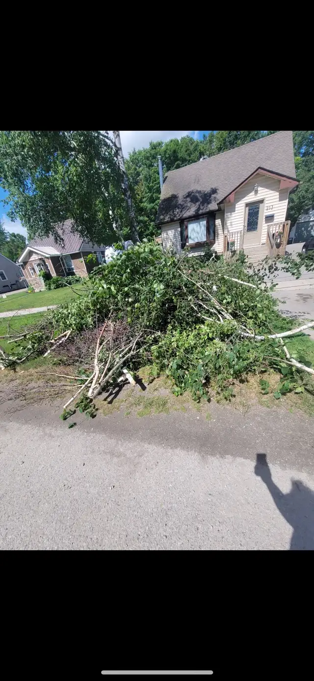 From $99 Garbage/Junk Removal Services!!!!!Same Day Pickup!!!!!548859372655749125