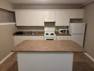 Hi, I have a One (1) Bedroom Basement Suite for rent in a quiet North Burnaby neighborhood. - Spacio...
