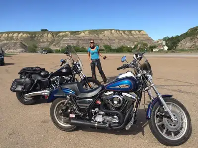 2015 mint condition street bob. comes with extra accessories, saddle bags, detachable wind shield, s...