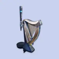 Guinness Harp of Gold Draught Fountain Kit