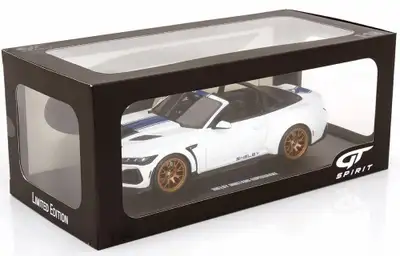 1/18 GT Spirit 2025 Shelby MUSTANG Supersnake Oxford White New Diecast Facebook : Mike Diecast Faceb...