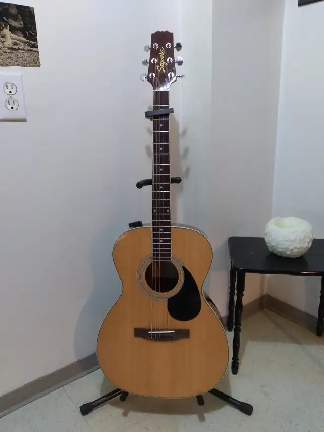 Guitare acoustique SEGOVIA in Guitars in Sherbrooke - Image 2