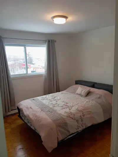 Cession de bail⚠️ a partir du 28 février au 28 juin avec possibilité de renouvellement sur un an Mag...