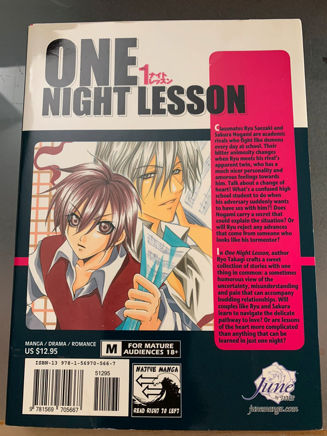 New One Night Lesson [Yaoi] [Yaoi Manga] 2008 $39 in Comics & Graphic Novels in Markham / York Region - Image 2