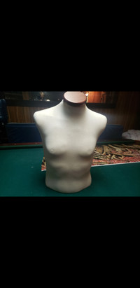 Mannequin male torso