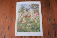 Vintage Botanical Print - Yuccas