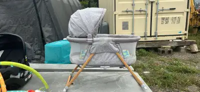 Baby Delight Bassinet, View more