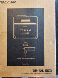 Tascam DR-10 Pro 32-Bit Field Recorder w/ TM-10 Lavalier Mic