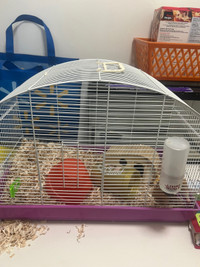 Hamster and cage 