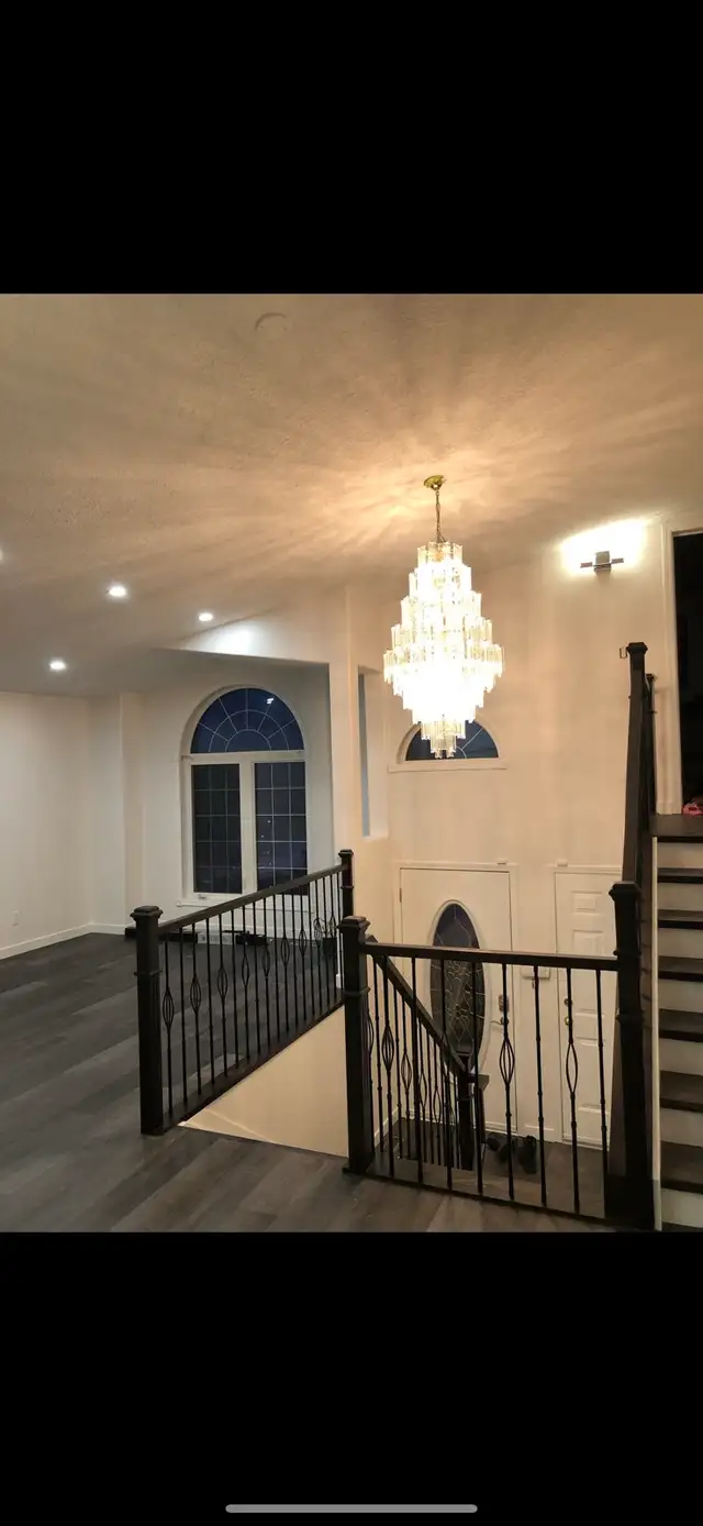 professional painter 494059795744696321
