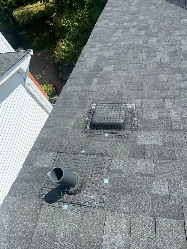 \\\ Squirrels & Raccoons ️- Removal & Protect Your Roof ///62864354713474121