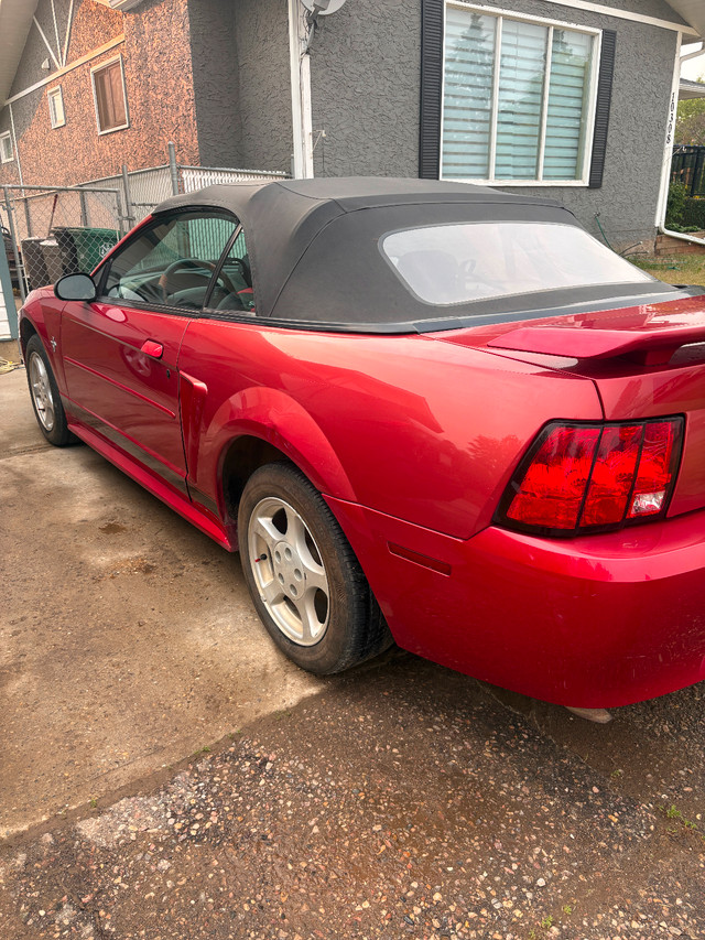 2002 Ford Mustang Convertible in Cars & Trucks in Grande Prairie - Image 2