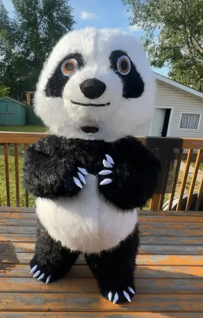 pandu for parties , View more