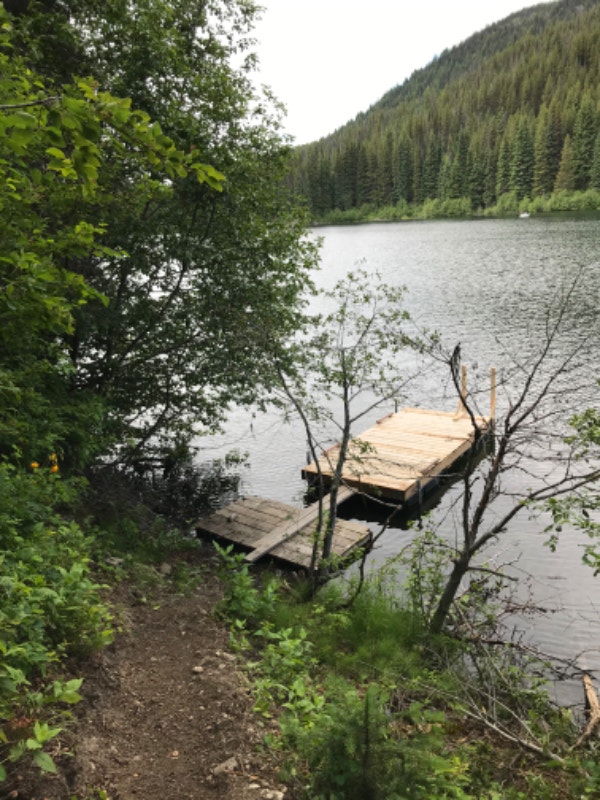 Lakefront Cabin Murray Lake BC Houses for Sale Comox / Courtenay