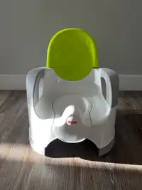 Potty seat