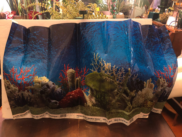 Aquarium Background. 19” High X 37” Long.  in Accessories in Edmonton - Image 2