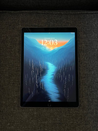 iPad Pro 12.9” 120hz pro-motion
