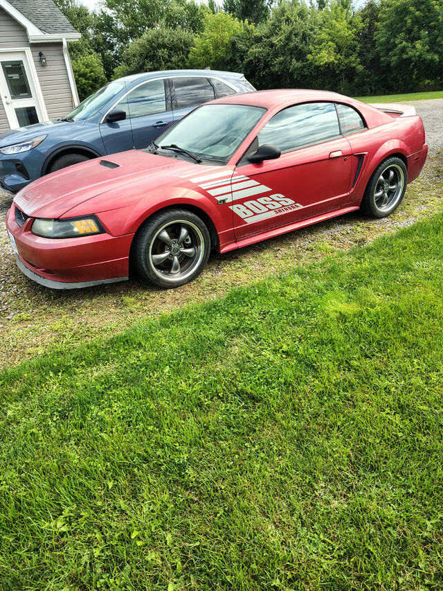 Turbocharged Mustang GT in Classic Cars in Oakville / Halton Region - Image 2