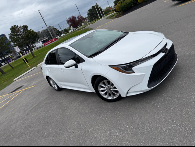Toyota Corolla 2020 in Cars & Trucks in Calgary - Image 2