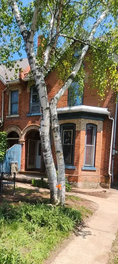 3 Bedroom, 2 Bath House