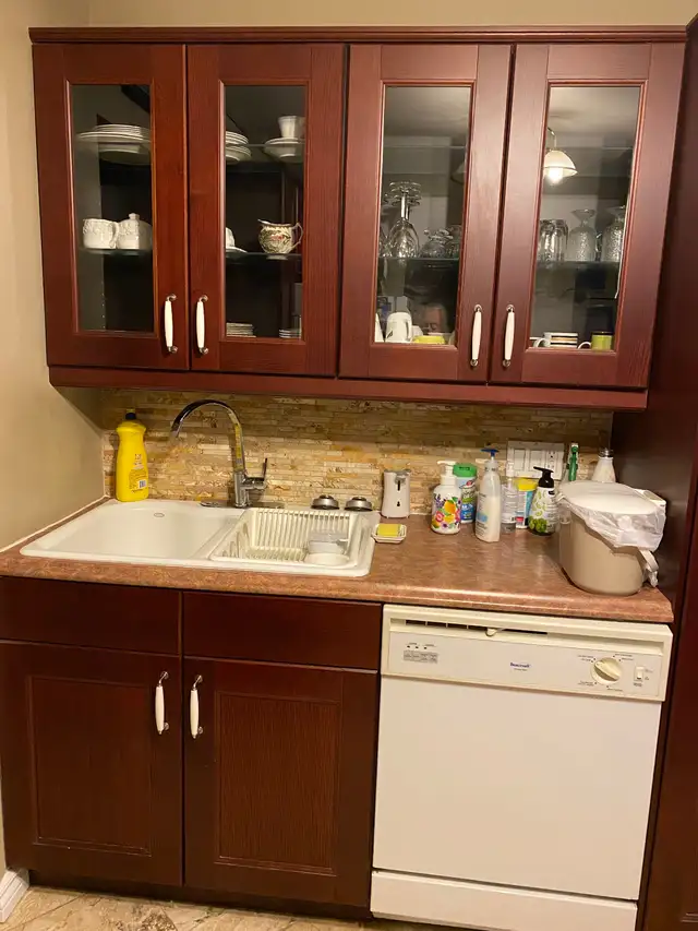 Plumber for hire in Plumbing in Markham / York Region - Image 2