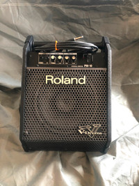 Roland PM 10 personal monitor speaker