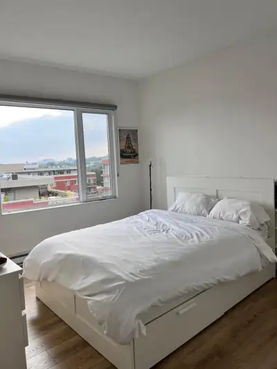 **Looking for a Roommate in Griffintown!**