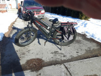 E-BIKE FOR SALE BY OWNER: WILD GOOSE DOUBLE $2000.00