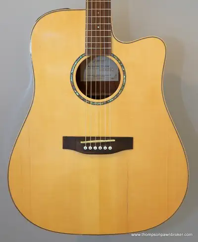 TAKAMINE EG363SC ACOUSTIC GUITAR &BAG (DAM. - PICKUP, SPLIT), View more