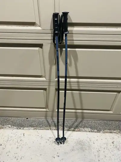 Rossignol Ski Poles 105cm, View more