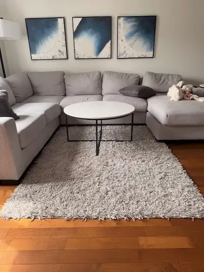 Grey Area Rug, View more