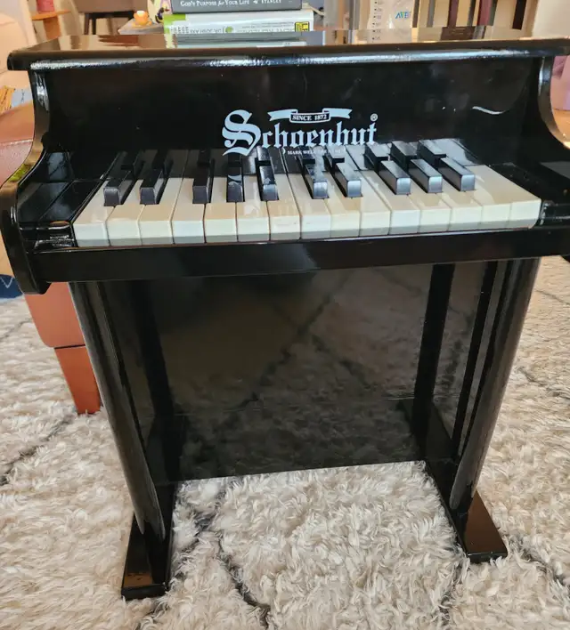 Srhoenhut mini upright piano in Pianos & Keyboards in Red Deer - Image 3