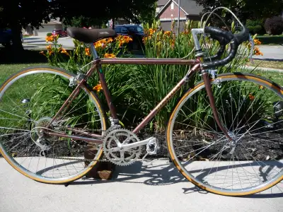 NISHIKI Bike ., View more