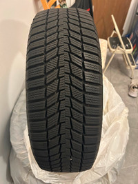 Continental Winter Tires (4) $100 each