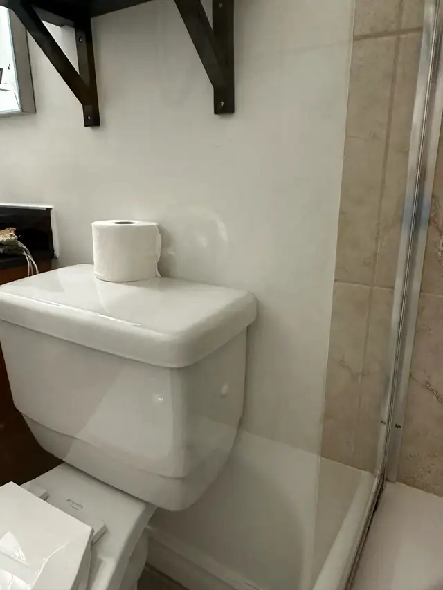 Cleaning lady538899691540336646