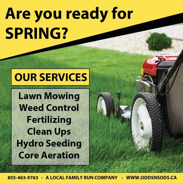 Grass Cutting & Lawn Care in Lawn, Tree Maintenance & Eavestrough in Oshawa / Durham Region