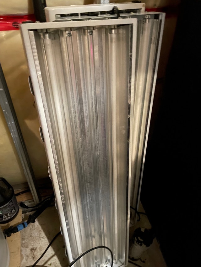 T5 grow lights 4 lights per unit Other Oakville / Halton Region