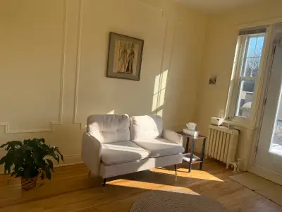 NEW COUCHES FOR SALE, View more