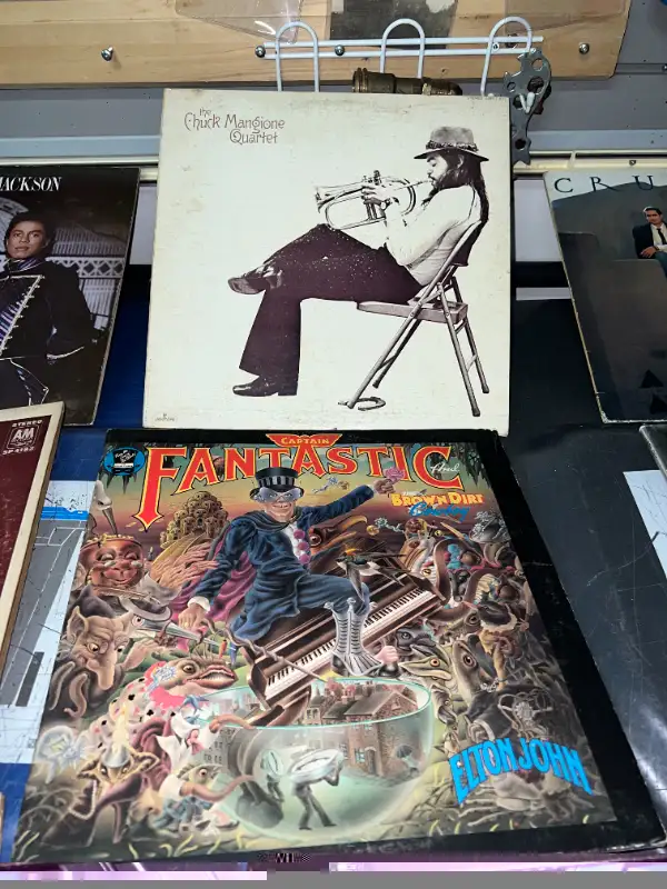 MORE VINTAGE VINYL ALBUMS - ELTON MANGIONE COCKER LULU DALTREY in Arts & Collectibles in Mississauga / Peel Region - Image 3