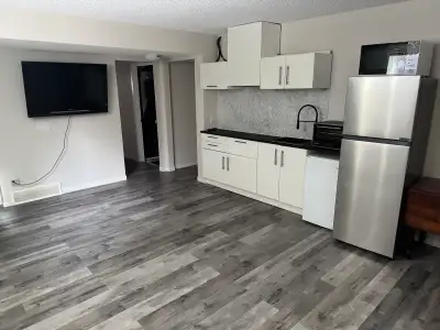 2 bedroom basement apartmenr, kitchenette with full size fridge and sink, hot plate in the drawer, t...