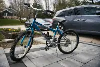 Girls bicycle, 5 speed, silver; 24" min seat height