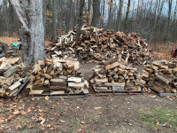  Seasoned firewood  ready to burn 