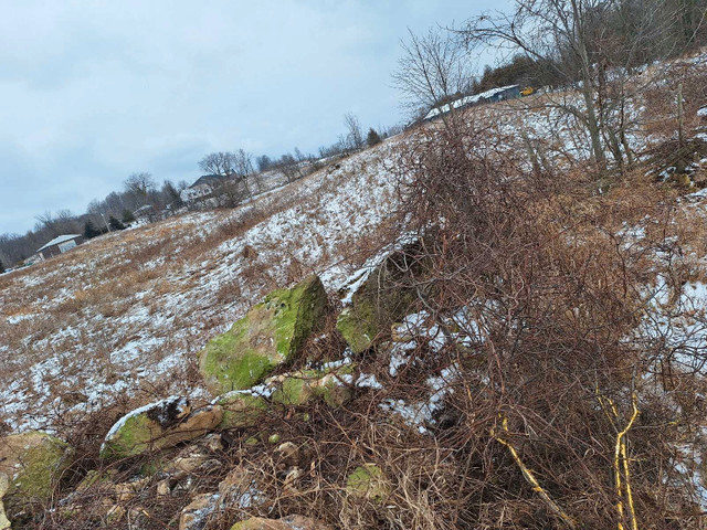 Small excavation and grading service  in Snow Removal & Property Maintenance in Oakville / Halton Region - Image 4